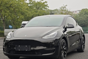 Model Y 特斯拉 改款 标准续航后驱升级版