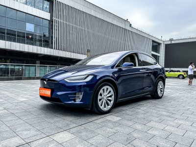 2019年4月 特斯拉 Model X Model X 100D 長續(xù)航版圖片