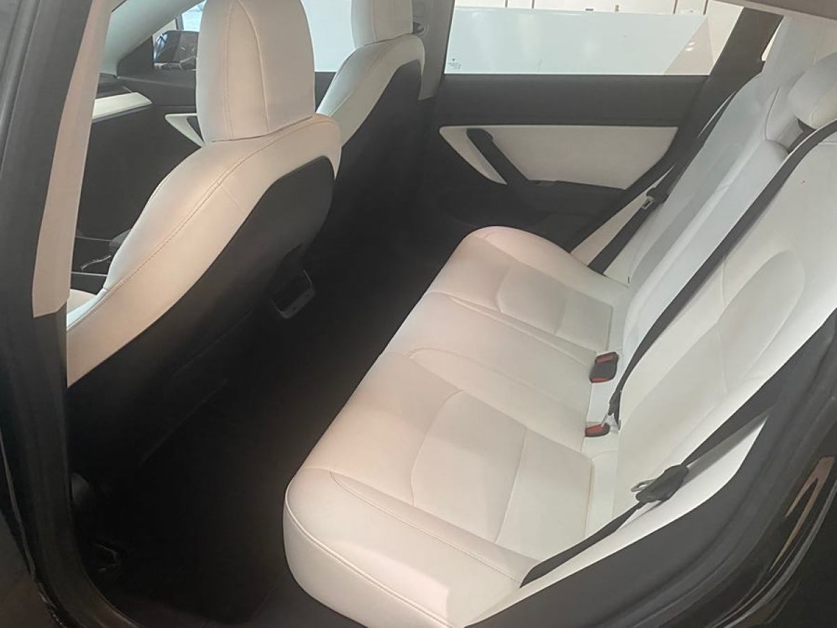 特斯拉 Model 3  2019款 長續(xù)航后驅(qū)版圖片