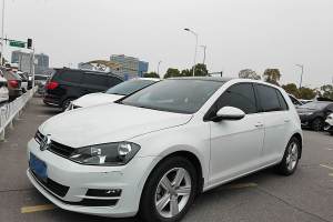 高爾夫 大眾 1.4TSI 自動(dòng)舒適型