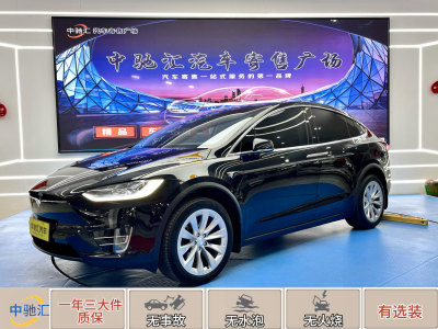 2019年3月 特斯拉 Model X Model X 100D 長續(xù)航版圖片