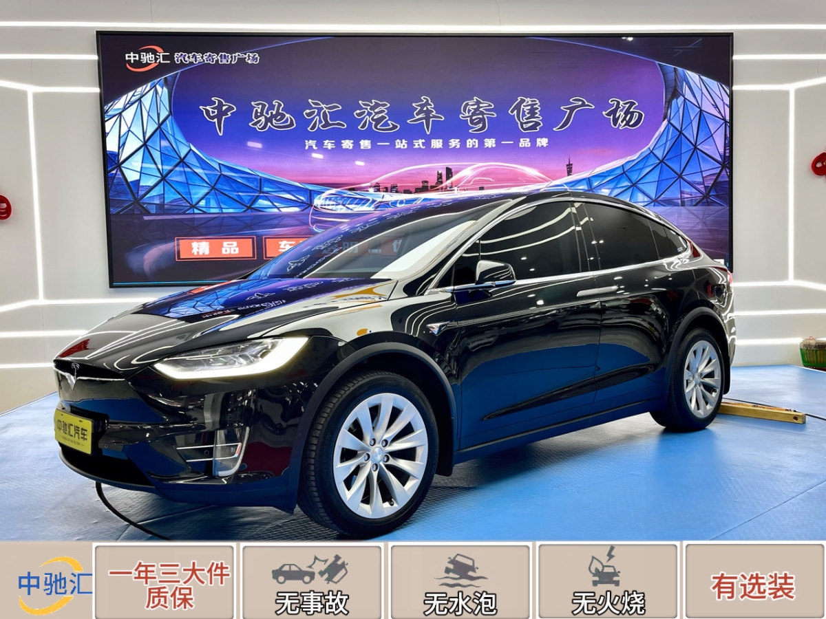 2019年3月特斯拉 Model X  2017款 Model X 100D 長(zhǎng)續(xù)航版