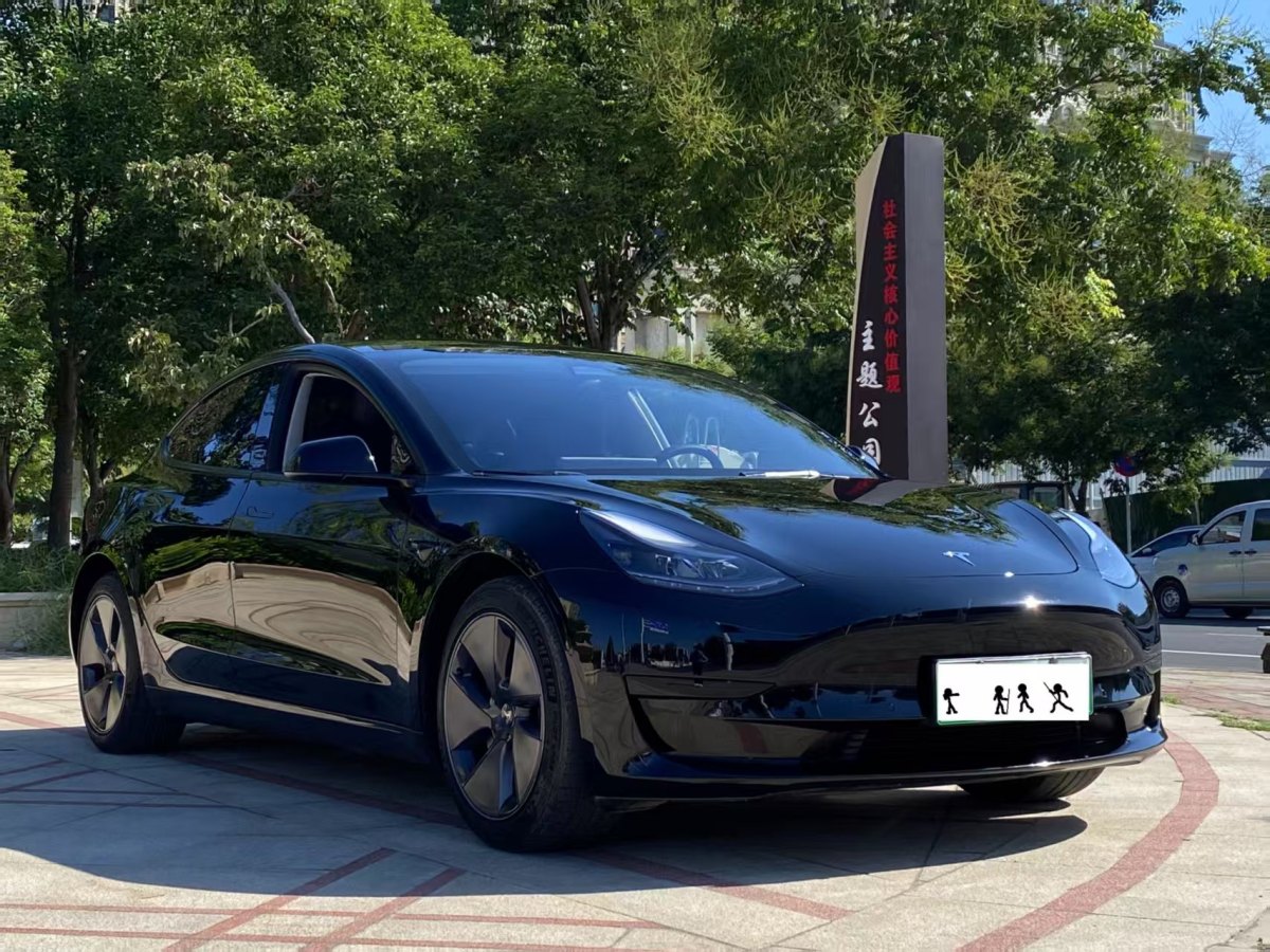 特斯拉 Model 3  2020款 改款 標(biāo)準(zhǔn)續(xù)航后驅(qū)升級(jí)版圖片