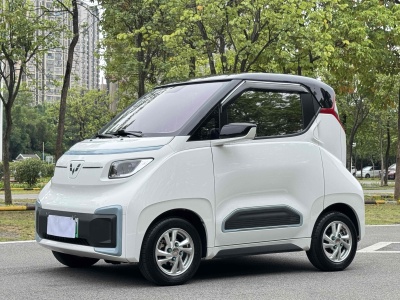 2022年4月 五菱 五菱NanoEV 玩樂款圖片