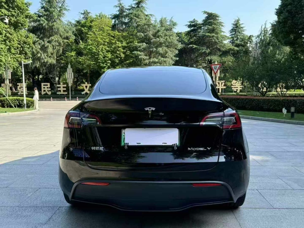 特斯拉 Model Y  2022款 Performance高性能全輪驅(qū)動版圖片