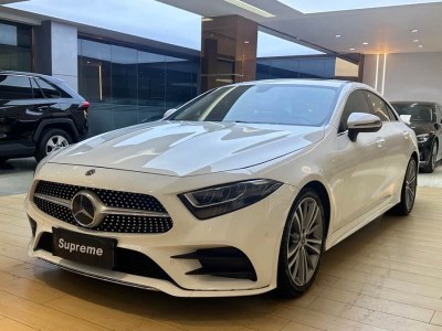 2020年7月 奔馳 奔馳CLS級(jí)(進(jìn)口) CLS 300 動(dòng)感型圖片