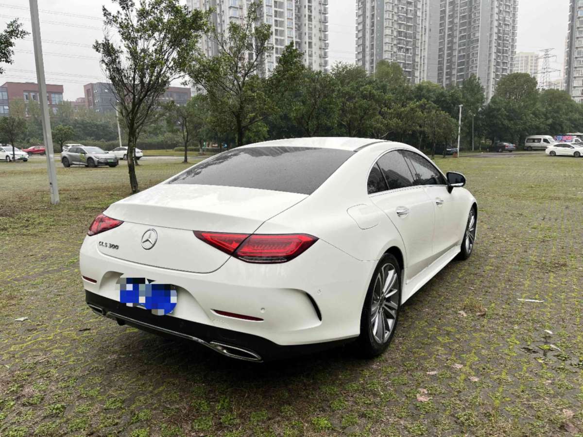 奔馳 奔馳CLS級(jí)  2018款 CLS 300 豪華型圖片