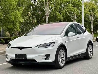 2017年1月 特斯拉 Model X Model X 60D圖片