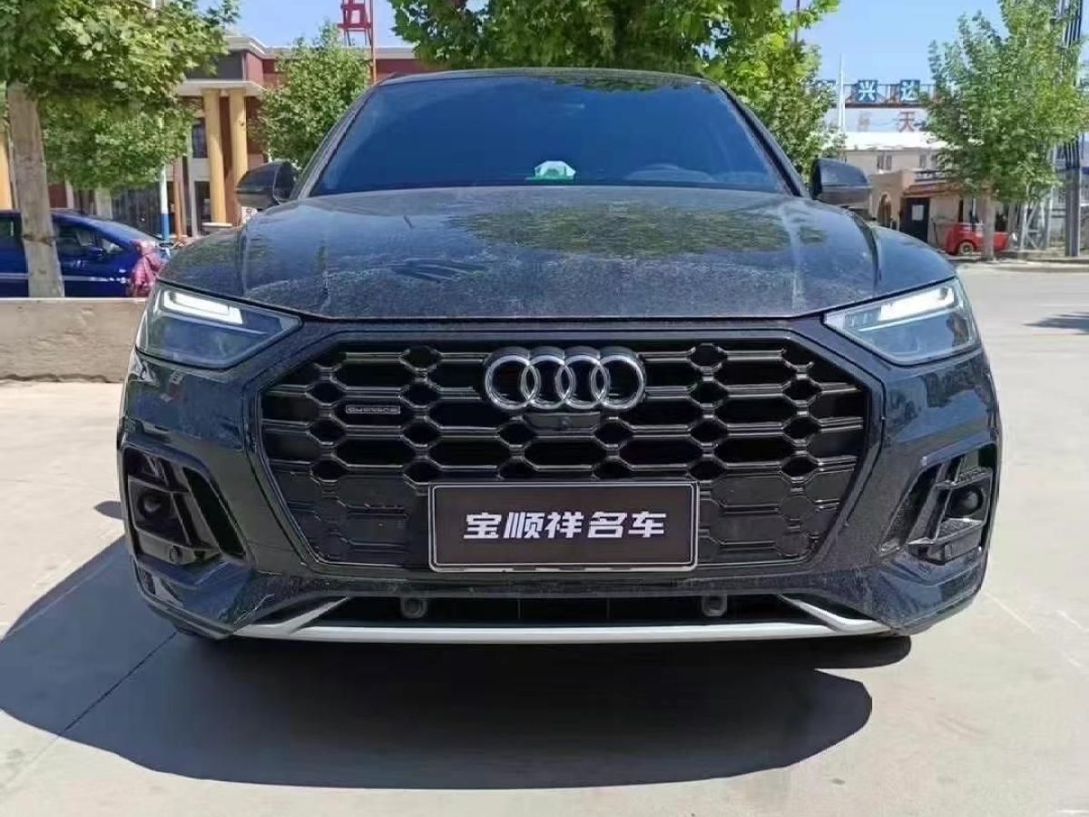 奧迪 奧迪Q5 e-tron  2023款 40 e-tron 星耀型 影武士版圖片