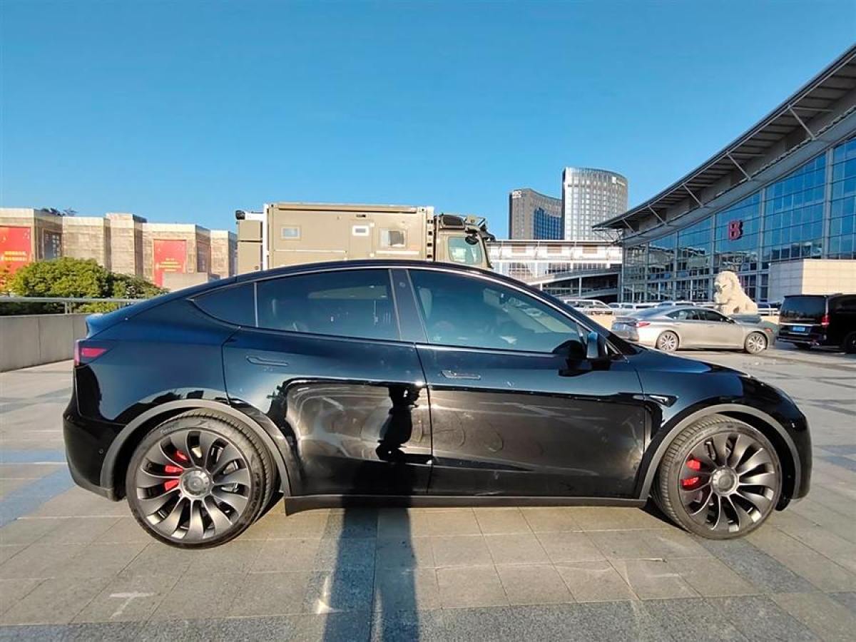 特斯拉 Model 3  2022款 Performance高性能全輪驅(qū)動(dòng)版圖片