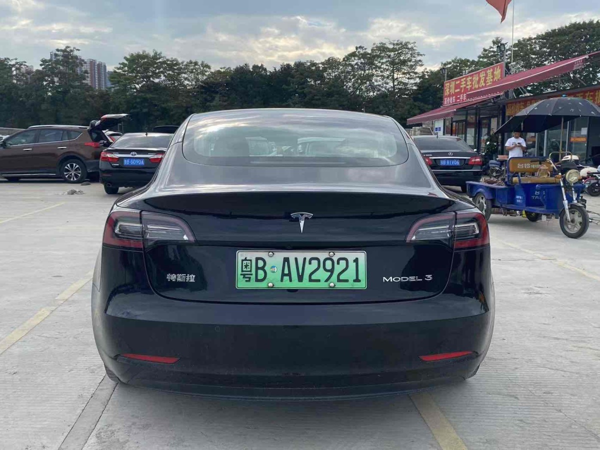 特斯拉 Model Y  2020款 改款 標(biāo)準(zhǔn)續(xù)航后驅(qū)升級(jí)版圖片