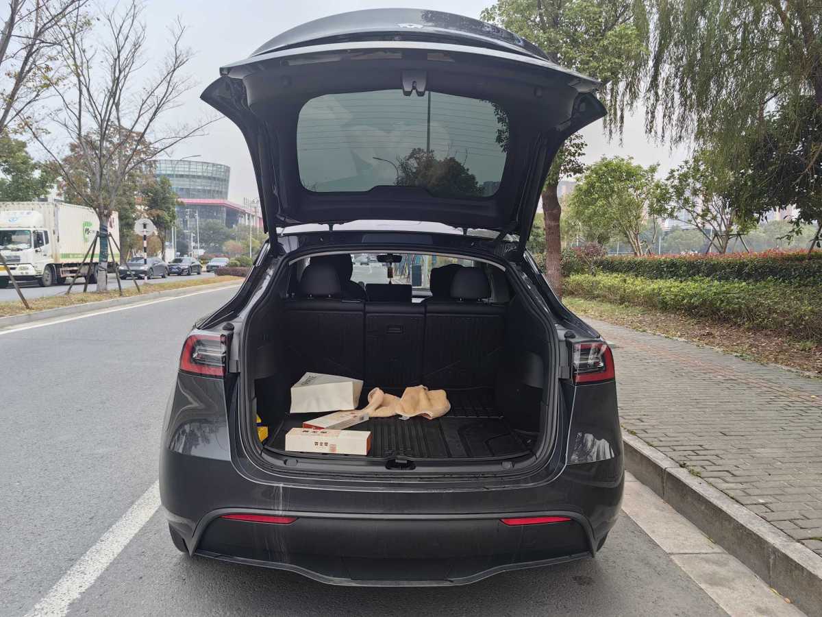 特斯拉 Model 3  2020款 改款 長續(xù)航后輪驅(qū)動(dòng)版圖片