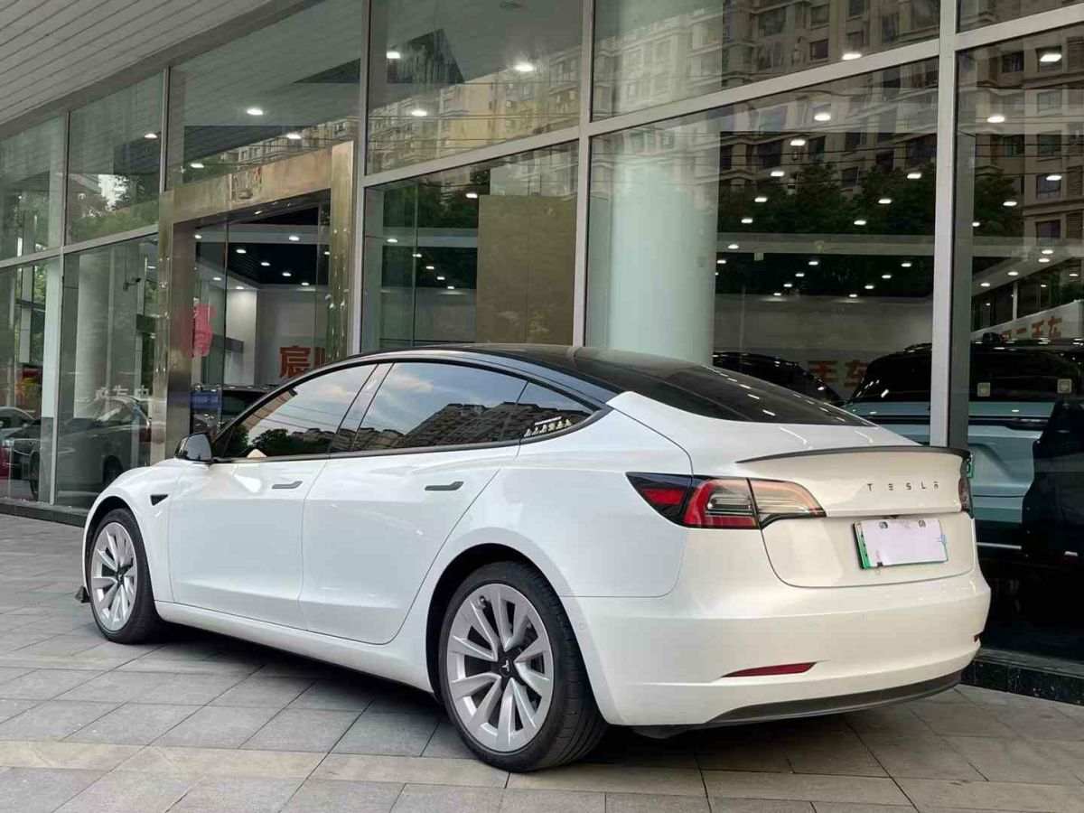 特斯拉 Model 3  2021款 標(biāo)準(zhǔn)續(xù)航后驅(qū)版圖片