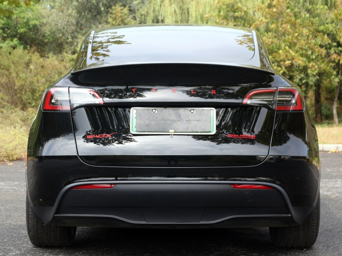 特斯拉 Model Y 高性能全輪驅(qū)動版圖片