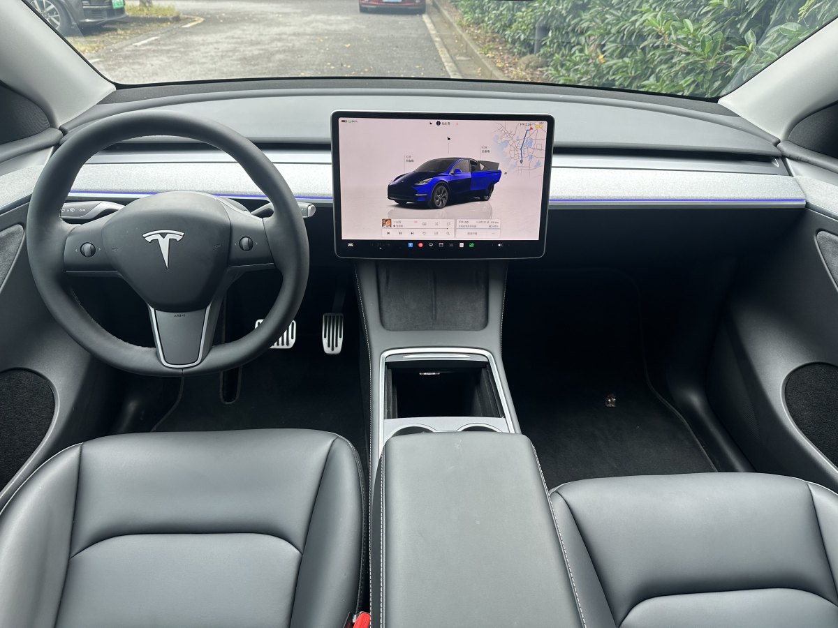 特斯拉 Model Y  2020款 改款 長續(xù)航后輪驅動版圖片