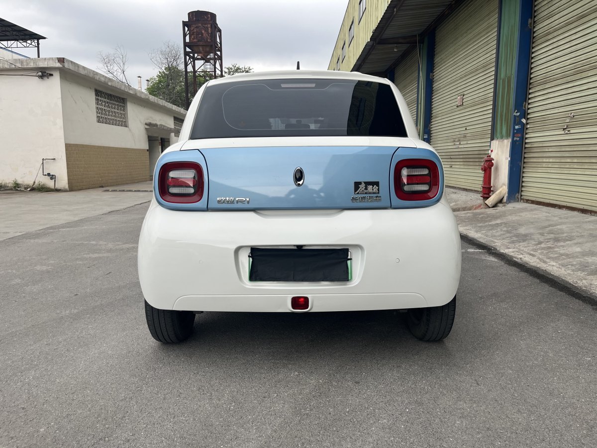 2019年6月歐拉 歐拉黑貓  2019款 2019款 351km 親子版