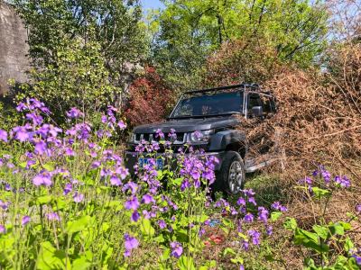 北京 BJ40  2016款 40L 2.0T 手動(dòng)四驅(qū)尊貴版圖片
