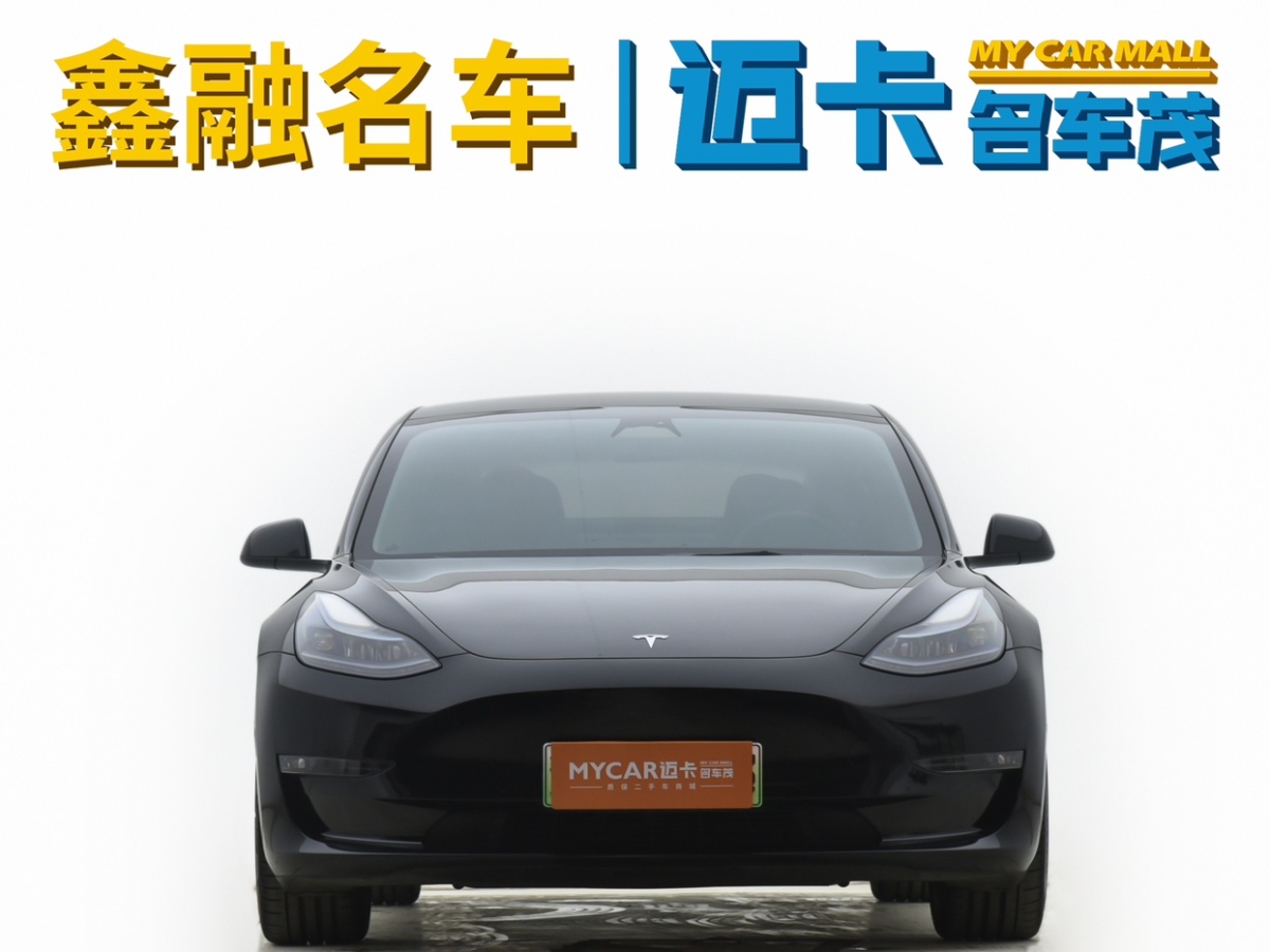 特斯拉 Model 3  2022款 Performance高性能全輪驅(qū)動(dòng)版圖片