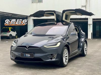 2018年3月 特斯拉 Model X Model X 100D 長續(xù)航版圖片