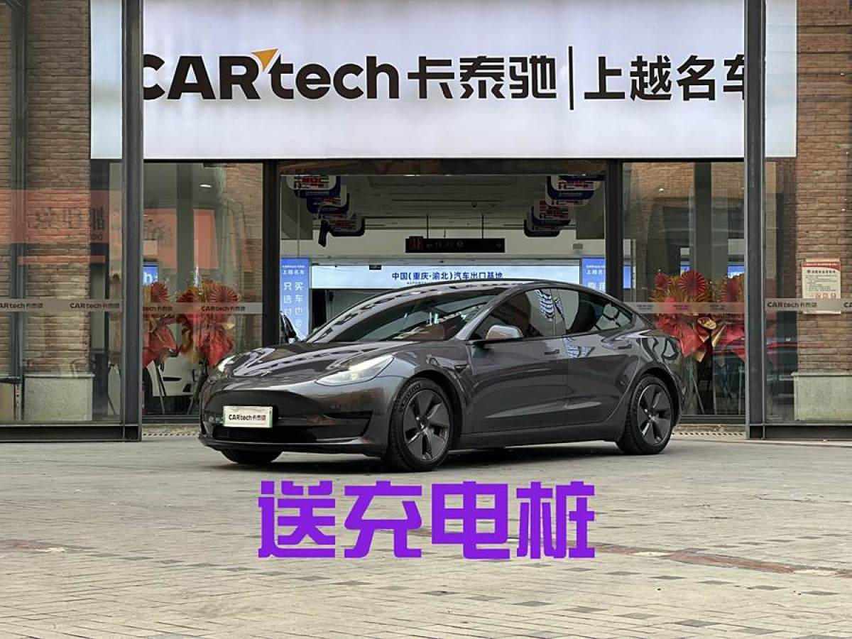 2021年2月特斯拉 Model 3  2021款 改款 標準續(xù)航后驅(qū)升級版