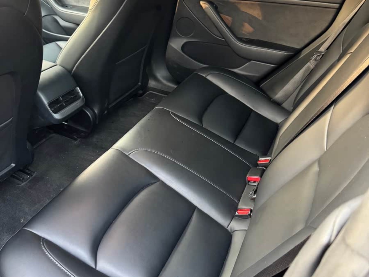 特斯拉 Model 3  2022款 后輪驅(qū)動版圖片