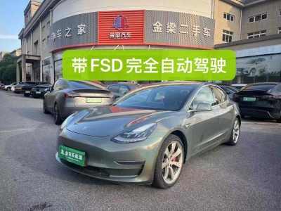 特斯拉 Model 3 Performance高性能全輪驅(qū)動(dòng)版圖片