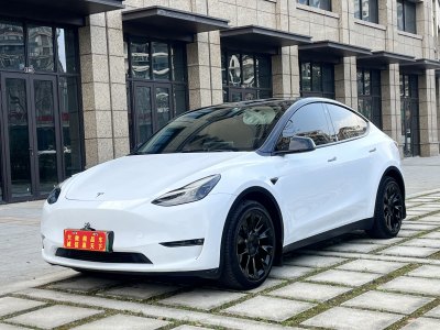 2021年7月 特斯拉 Model Y 長續(xù)航全輪驅(qū)動版 3D7圖片