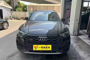 奧迪Q5 e-tron 奧迪 40 e-tron 星耀型 影武士版