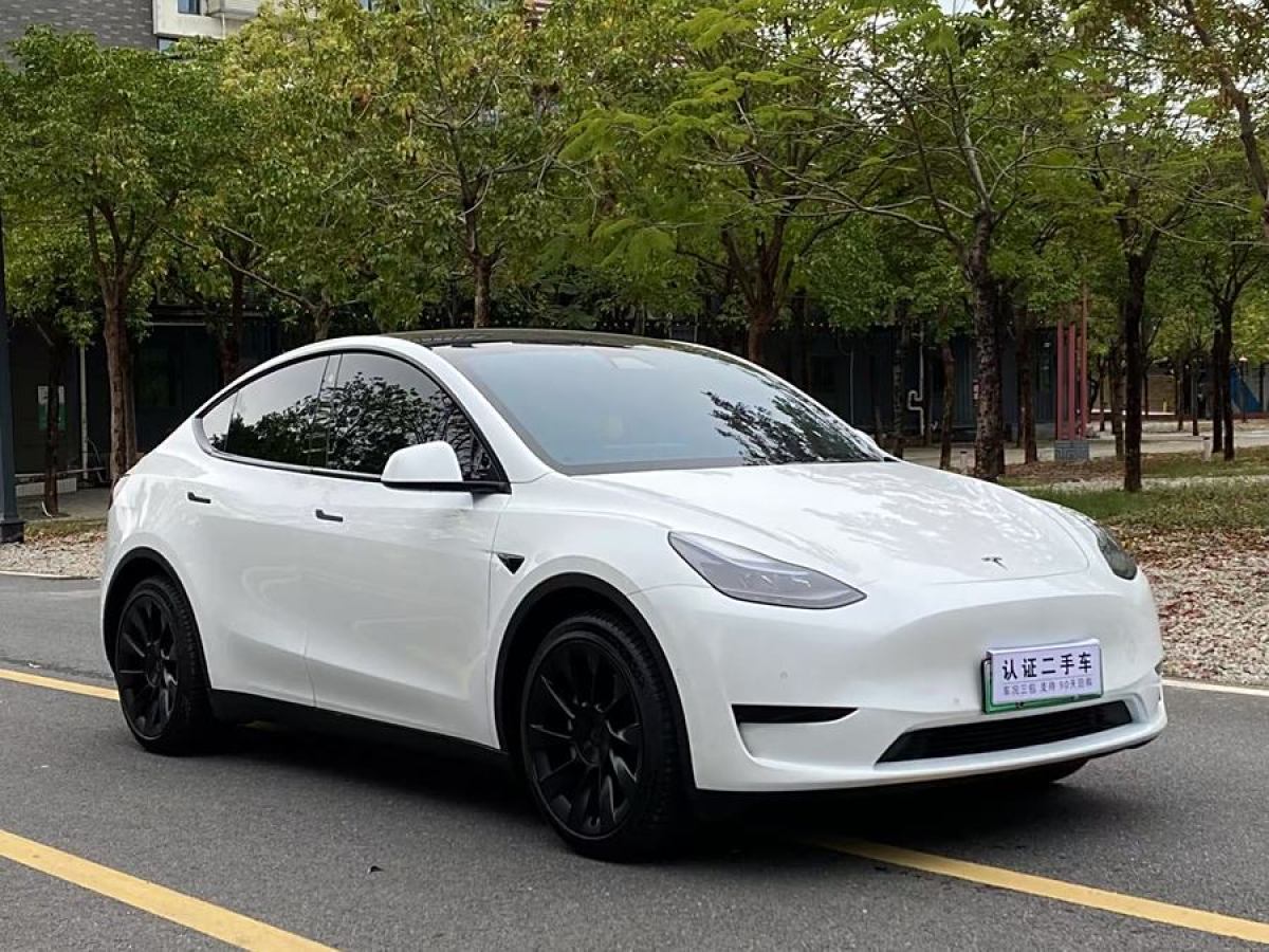 特斯拉 Model 3  2020款 改款 長(zhǎng)續(xù)航后輪驅(qū)動(dòng)版圖片