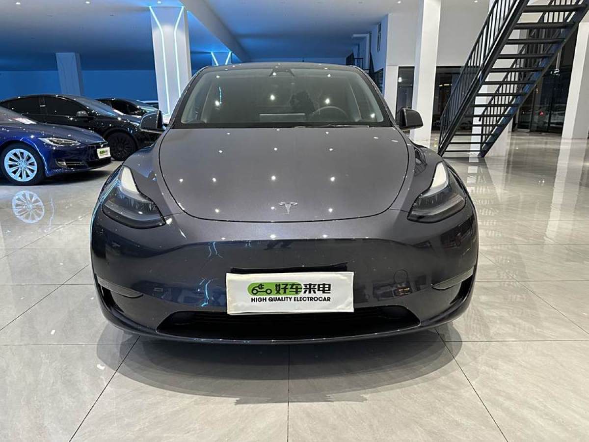 特斯拉 Model 3  2022款 Performance高性能全輪驅(qū)動(dòng)版圖片