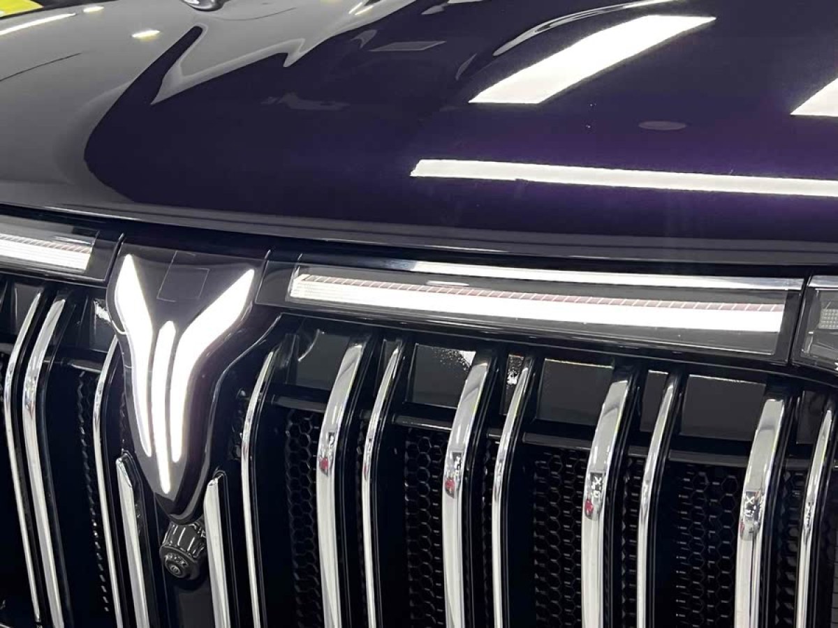 嵐圖 夢想家  2024款 PHEV 超長續(xù)航尊貴版圖片