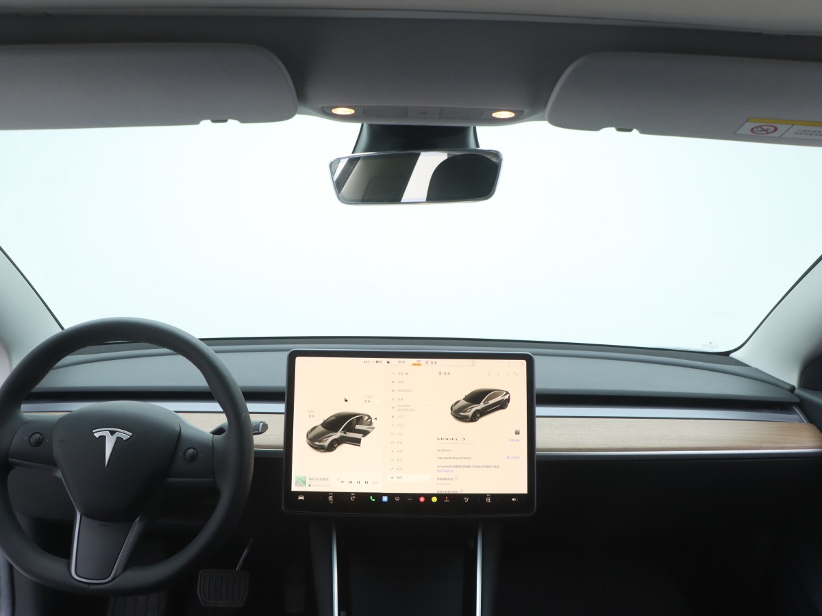 特斯拉 Model 3  2020款 改款 標(biāo)準(zhǔn)續(xù)航后驅(qū)升級(jí)版圖片