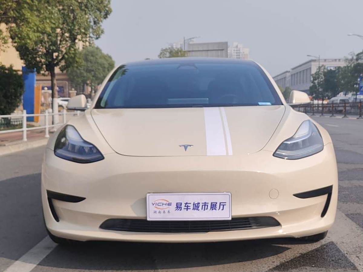 特斯拉 Model 3  2020款 改款 標準續(xù)航后驅(qū)升級版圖片