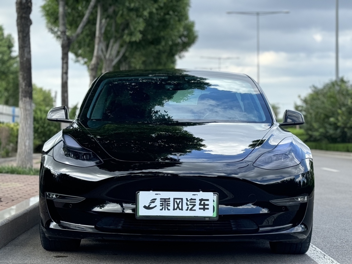 特斯拉 Model Y  2021款 Performance高性能全轮驱动版图片