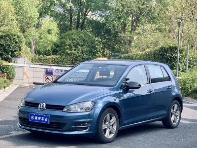 大眾 高爾夫 230TSI 自動舒適百萬輛紀(jì)念版圖片