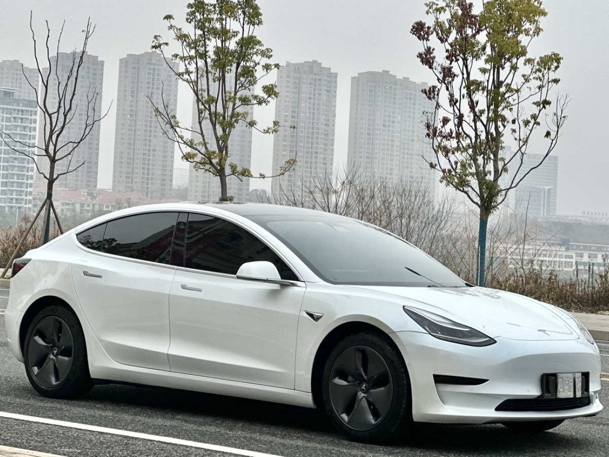 特斯拉 Model 3  2020款 改款 標準續(xù)航后驅升級版圖片