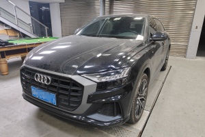 奥迪Q8 奥迪 55 TFSI 臻选动感型