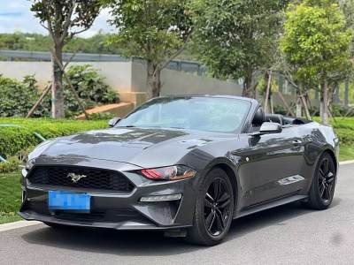 2020年4月 福特 Mustang(進(jìn)口) 2.3L EcoBoost圖片