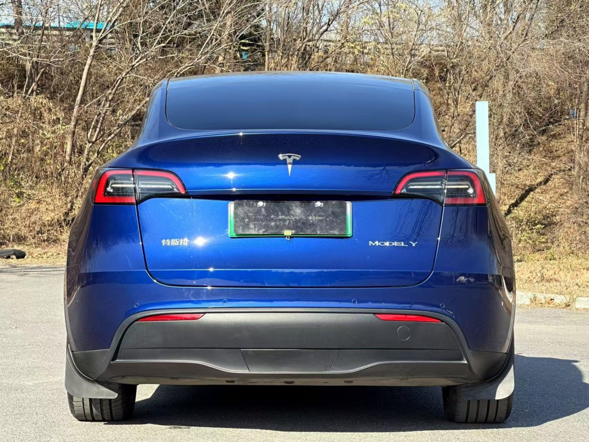 特斯拉 Model Y 24款 標(biāo)準(zhǔn)續(xù)航 后輪驅(qū)動(dòng)版圖片