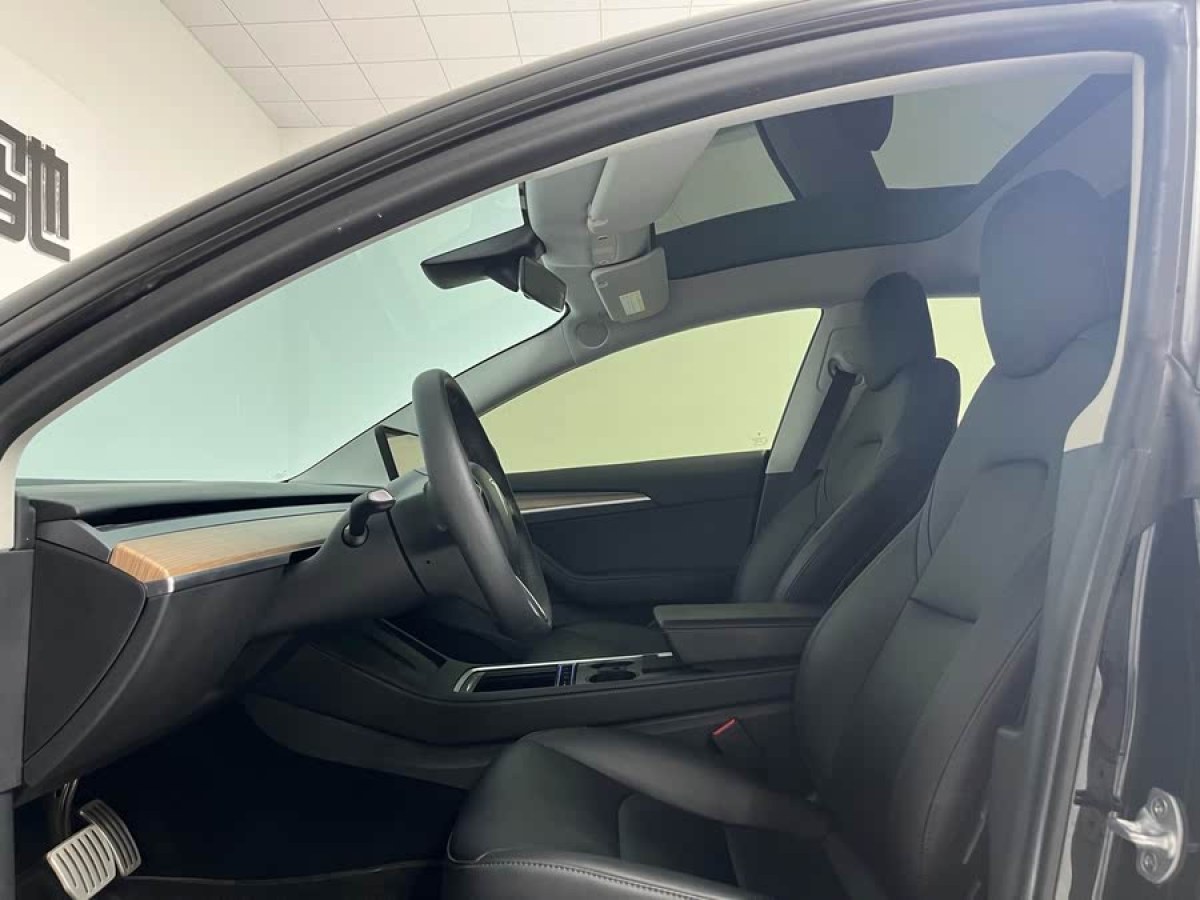 特斯拉 Model 3  2022款 Performance高性能全輪驅(qū)動(dòng)版圖片