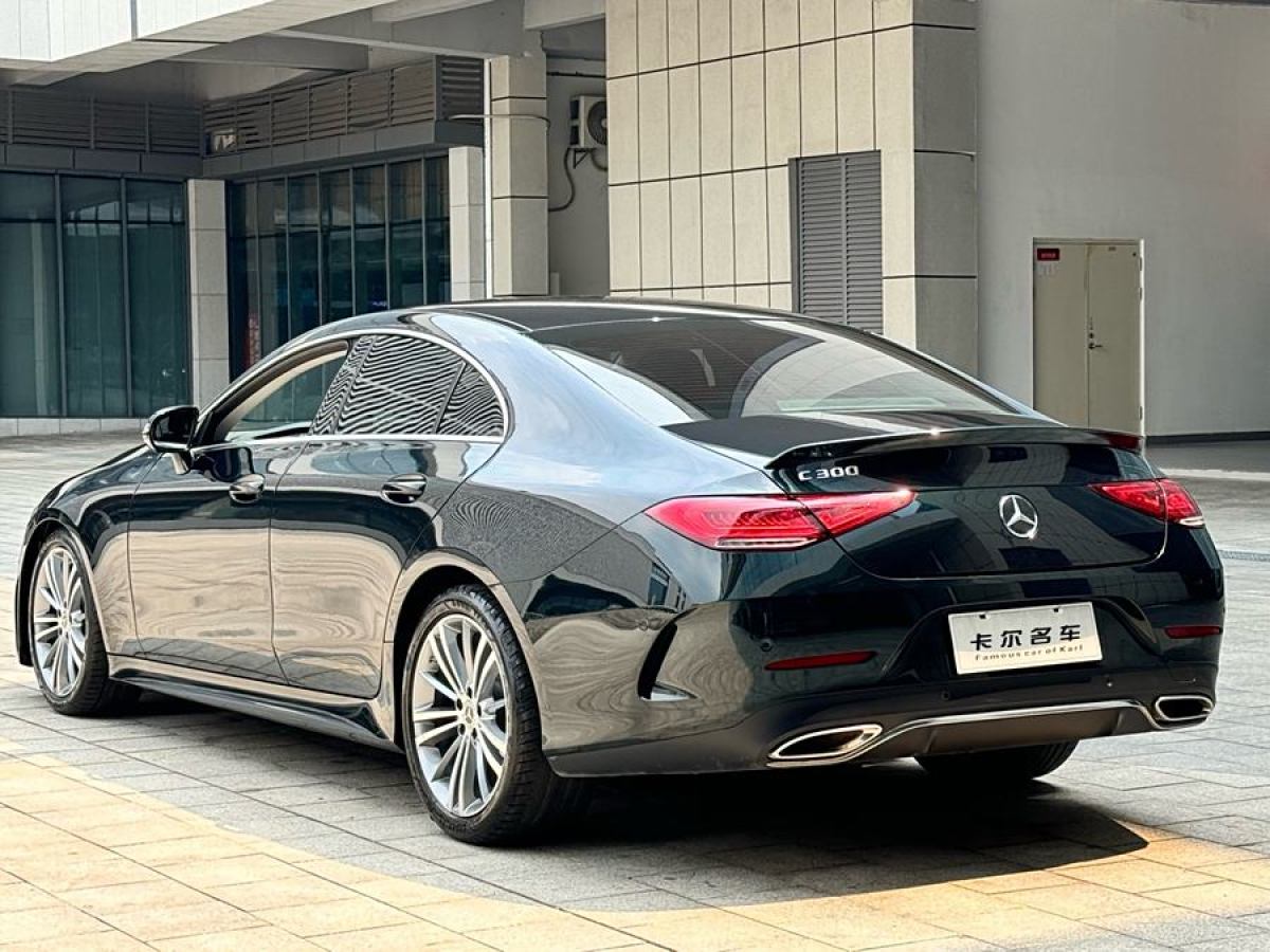 奔馳 奔馳CLS級(jí)  2023款 改款 CLS 300 動(dòng)感型圖片