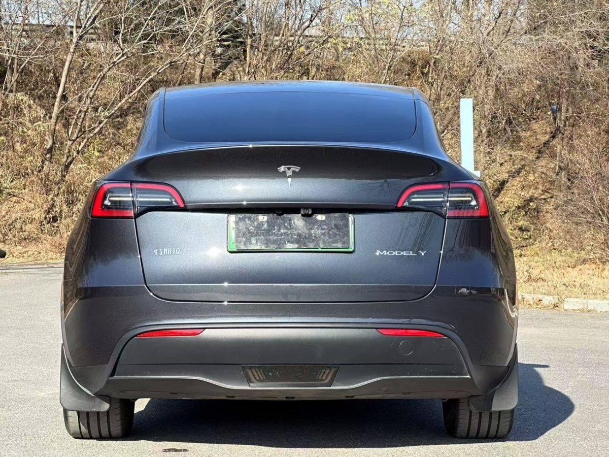 特斯拉 Model Y 24款 標(biāo)準(zhǔn)續(xù)航 后輪驅(qū)動(dòng)版圖片