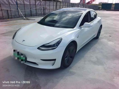 2020年7月 特斯拉 Model 3 標準續(xù)航后驅(qū)升級版圖片