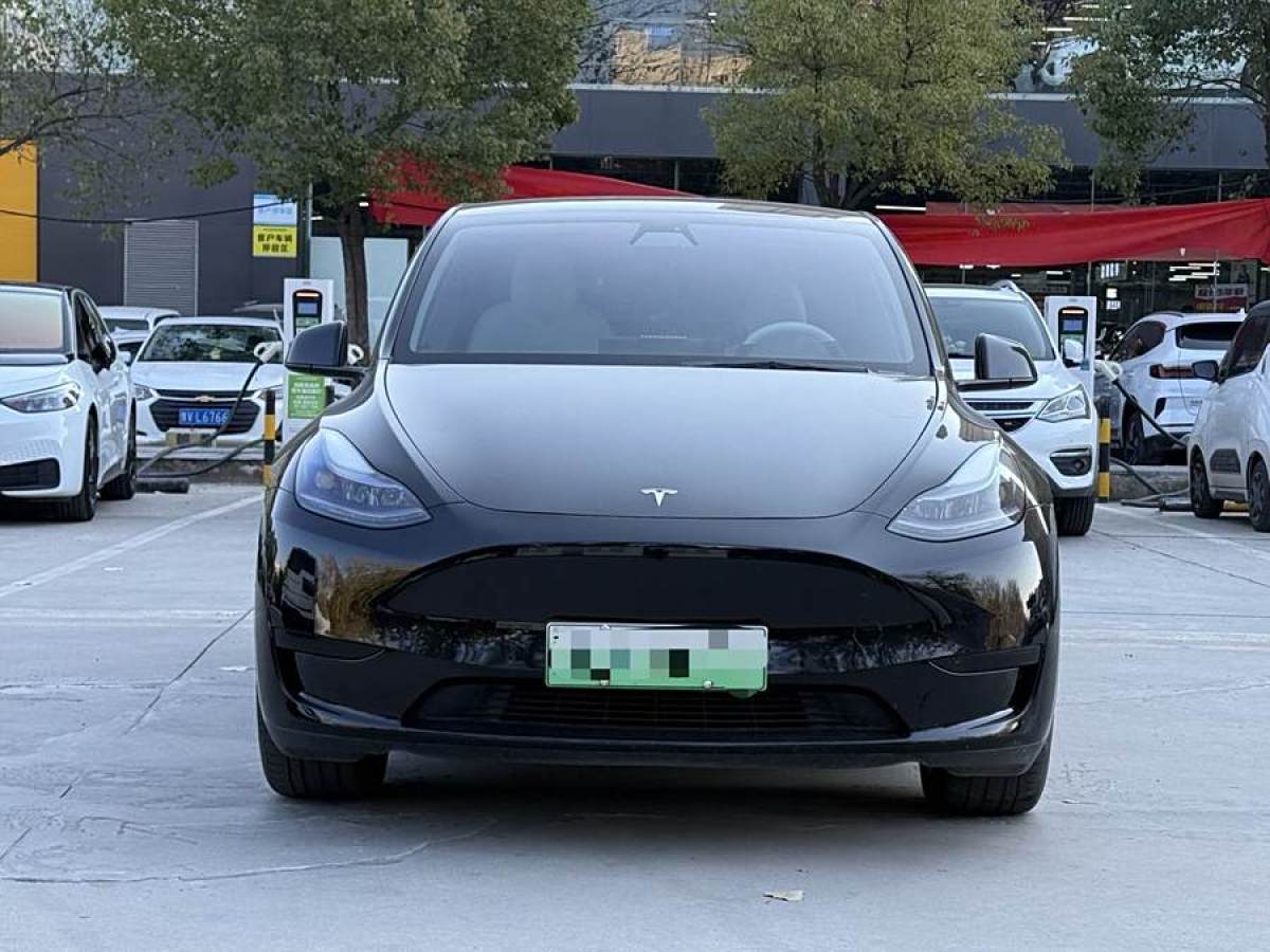 特斯拉 Model 3  2020款 改款 長續(xù)航后輪驅(qū)動版圖片