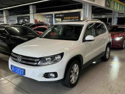 2013年4月 大眾 Tiguan(進(jìn)口) 2.0TSI 舒適版圖片