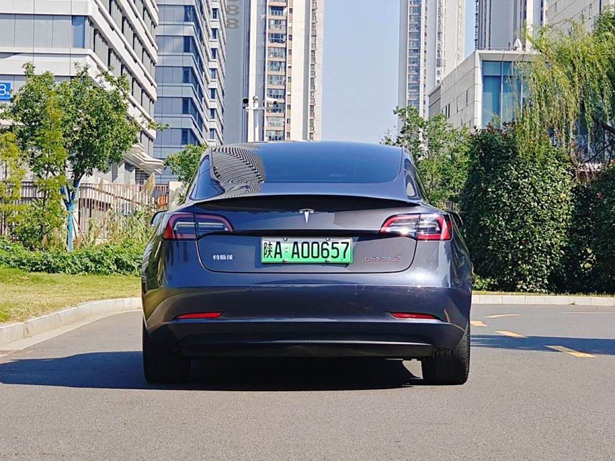 特斯拉 Model 3  2021款 Performance高性能全輪驅(qū)動(dòng)版圖片