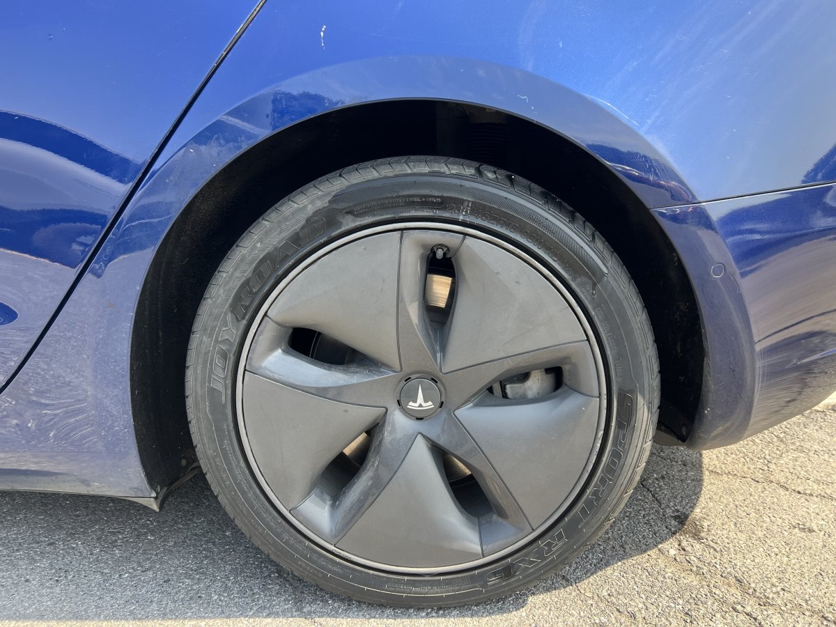 特斯拉 Model 3  2019款 標(biāo)準(zhǔn)續(xù)航后驅(qū)升級(jí)版圖片