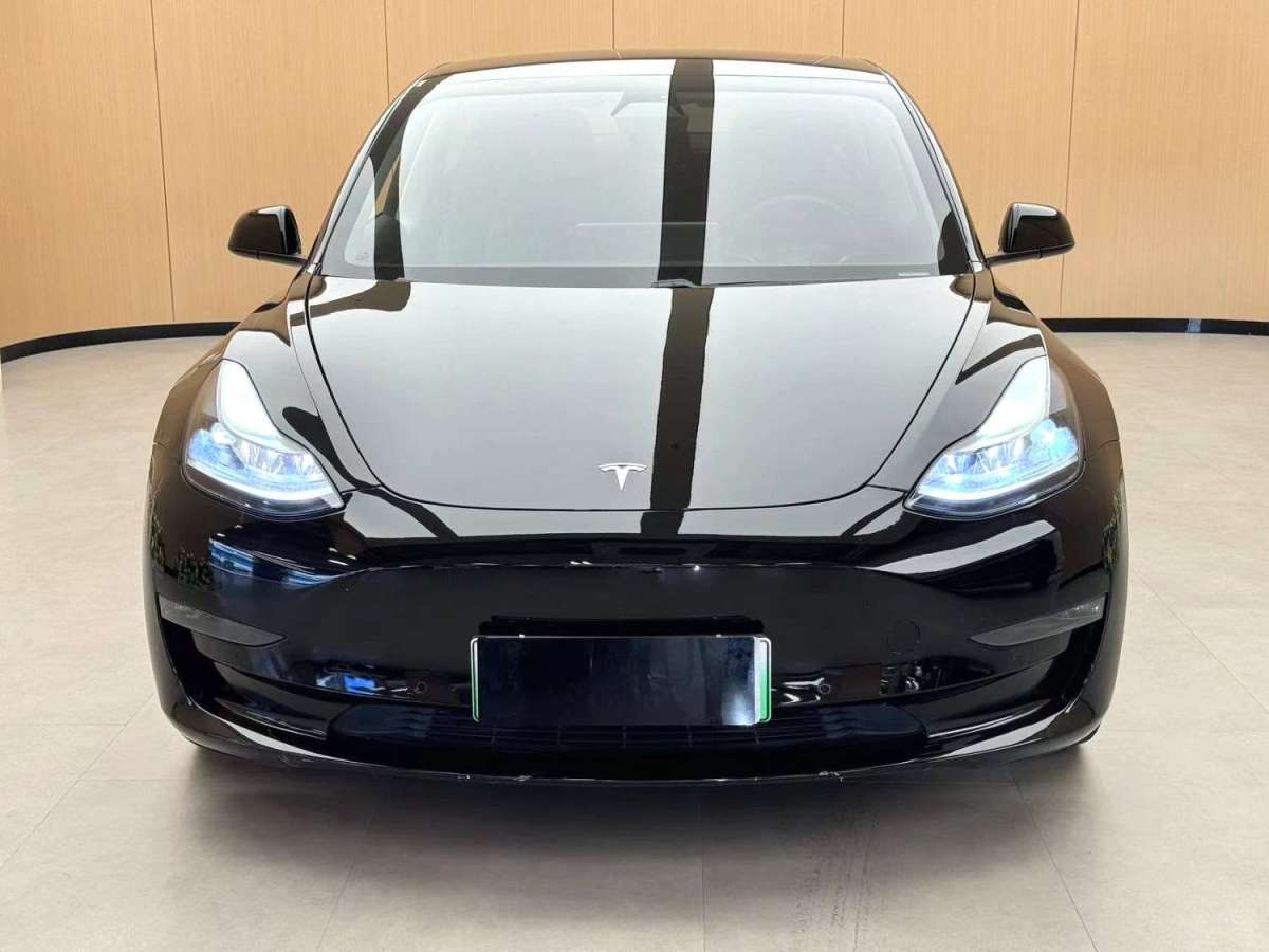 特斯拉 Model 3  2019款 Performance高性能全輪驅(qū)動版圖片