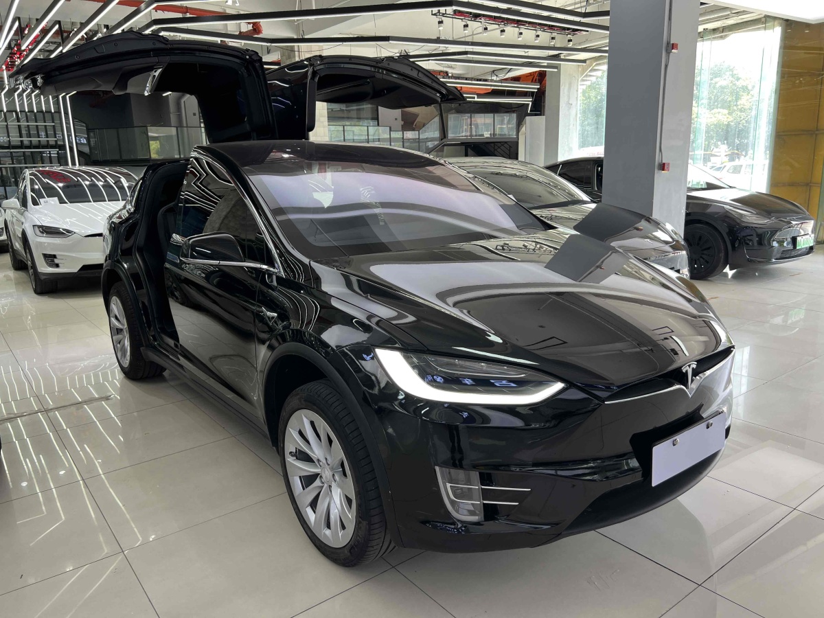 特斯拉 Model X  2016款 Model X 75D圖片