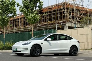 Model 3 特斯拉 改款 標(biāo)準(zhǔn)續(xù)航后驅(qū)升級版